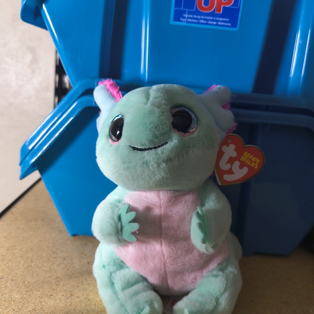 Ty Plush Toy with Pink and Mint Green